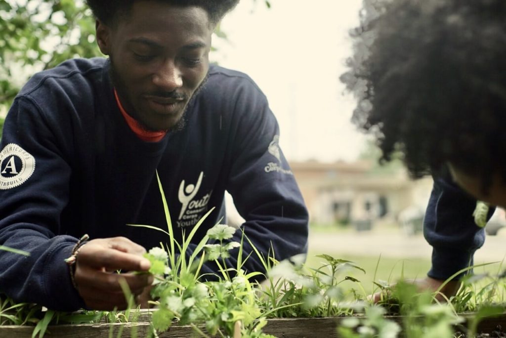 Lake County opportunity youth working on garden bed.